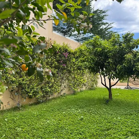 Seaclusion Villa Palasë